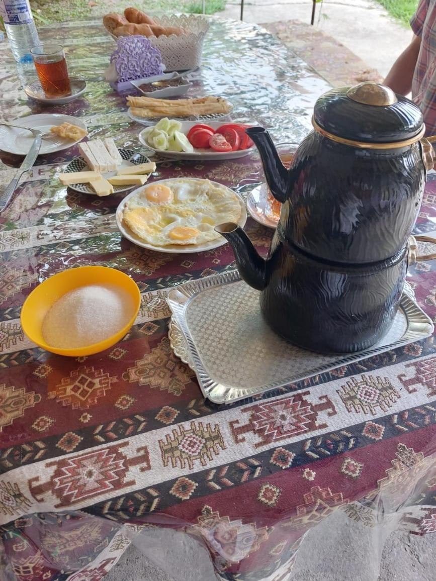 Ilgar'S Hostel Şǝki エクステリア 写真