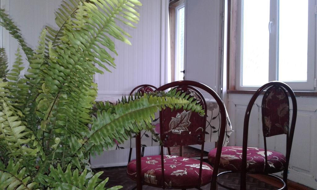 Ilgar'S Hostel Şǝki エクステリア 写真